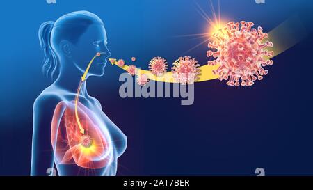 Illustration tridimensionnelle montrant le virus corona, le virus du MERS, le syndrome respiratoire du Moyen-Orient, la pneumonie, le poumon Banque D'Images