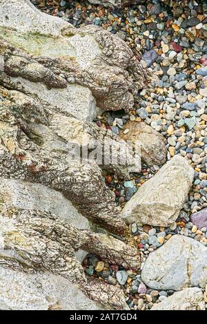 Éventail de roches érodées texturées de couleur grise, encadrées par d'autres pierres et galets sur un littoral des Philippines, utiles comme fond vertical Banque D'Images