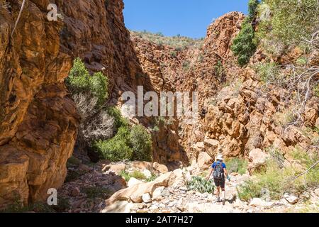 Une jeune femme qui a fait de la randonnée sur l'Olive Trail dans le parc Namib Naukluft, en marchant dans un canyon avec de grandes roches érodées, Namibie, Afrique Banque D'Images