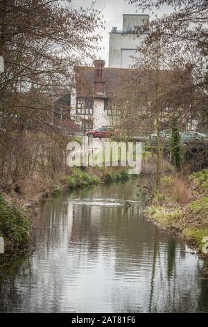 River Start, Evêques Stortford, Hertfordshire, Royaume-Uni Banque D'Images