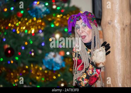 Baba Yaga sur le fond de l'arbre de Noël. Banque D'Images