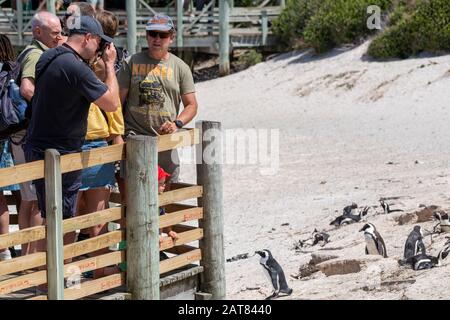 Les touristes sur la promenade ont vue sur les pingouins africains sur la plage de Boulders, la ville de Simon, en Afrique du Sud Banque D'Images