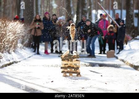 Biélorussie, la ville de Gomil, 25 février 2017. Maslenitsa Holiday.jeu national d'hiver russe Gorodki.Jeux slaves ethniques d'hiver. Banque D'Images