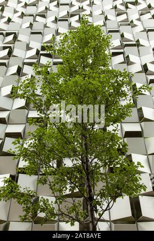 Un arbre en face d'un parking en forme de Cheesegrater à Sheffield, Royaume-Uni Banque D'Images
