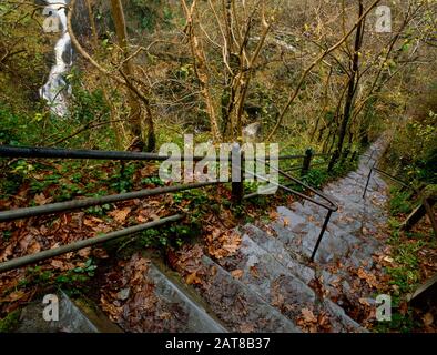 Échelle De Jacob, Chutes De Mynach, Pont Du Diable, Aberystwyth, Ceredigion, Pays De Galles. Un vol escarpé de marches en pierre sur la promenade dans les bois. Banque D'Images