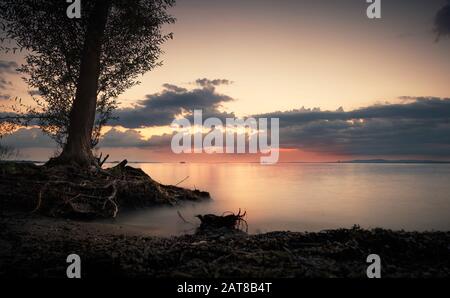 Romantique et calme coucher de soleil au bord du lac avec arbre et plage en premier plan, belle composition de couleurs Banque D'Images
