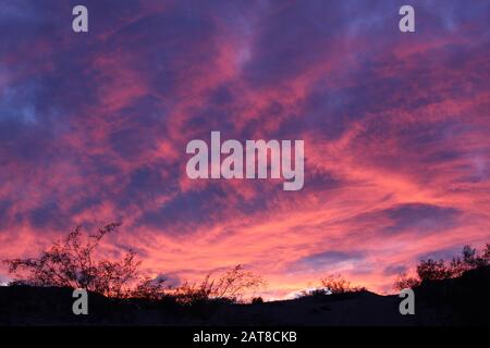 Coucher de soleil, en marge de 29 palmiers, au-dessus de l'écologie indigène du désert de Mojave sud, nous donne un aperçu harmonieux du respect si nécessaire pour notre monde. Banque D'Images