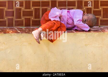 Jeune nun novice qui a posé son siège à l'école d'éducation libre Monastique Aung Myae Oo, Sagaing, Mandalay, Myanmar (Birmanie), Asie en février Banque D'Images