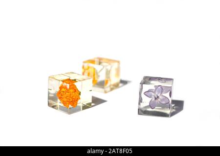 Fleurs séchées en cubes de résine époxy isolées sur fond blanc. Bijoux faits à la main. Banque D'Images