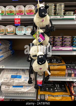 Orlando, FL/USA-1/29/20: Un affichage de diverses marques de jouets pour chiens colorés à vendre dans un Superstore Petmart prêt pour les propriétaires d'animaux de compagnie à acheter pour leur Banque D'Images