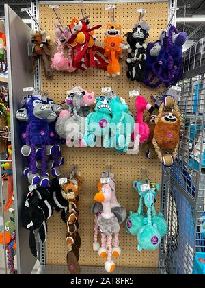 Orlando, FL/USA-1/29/20: Un affichage de diverses marques de jouets pour chiens à vendre dans un Superstore Petmart prêt pour les propriétaires d'animaux de compagnie à acheter pour leurs animaux de compagnie. Banque D'Images