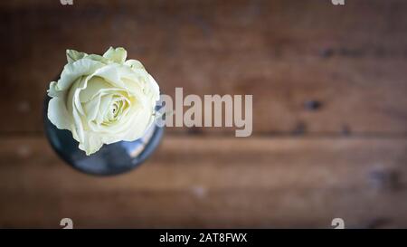 Une rose blanche dans un vase en verre bleu antique en forme de bannière et tiré d'en haut sur une table en pin foncé. Banque D'Images