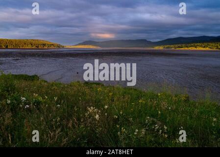 Paysage d'un champ à la fin du Dornoch Firth dans les Highlands écossais de Sutherland Scotland UK Banque D'Images