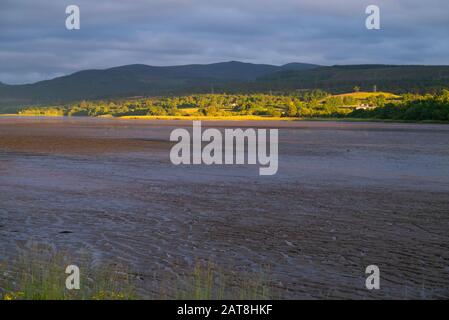 Paysage d'un champ à la fin du Dornoch Firth dans les Highlands écossais de Sutherland Scotland UK Banque D'Images