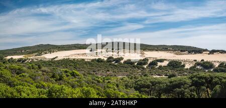 Dune di Piscinas, près de la plage de Spiaggia Piscinas, de la chaîne de montagnes Arburese en distance, Costa Verde, province du Sud Sardaigne, Sardaigne, Italie Banque D'Images