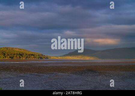 Paysage d'un champ à la fin du Dornoch Firth dans les Highlands écossais de Sutherland Scotland UK Banque D'Images