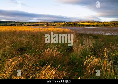 Paysage d'un champ à la fin du Dornoch Firth dans les Highlands écossais de Sutherland Scotland UK Banque D'Images