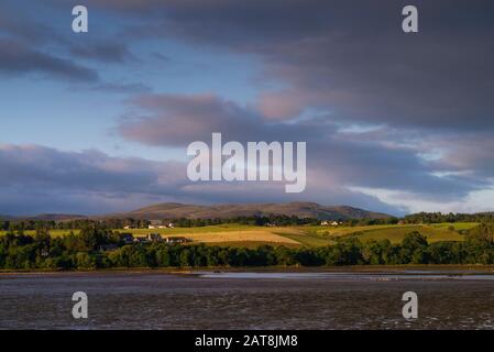 Paysage d'un champ à la fin du Dornoch Firth dans les Highlands écossais de Sutherland Scotland UK Banque D'Images