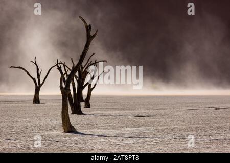 Silhouettes d'arbres centenaires à sec dans le désert, entre les dunes de sable rouge. Surréaliste insolite paysage exotique avec des squelettes morts des arbres. Deadvlei, Na Banque D'Images