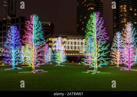 'asha Arbres' par Adam Decolight au parc de la rue Bank. 2020 Winter lights festival à Canary Wharf, Londres, Angleterre. Banque D'Images