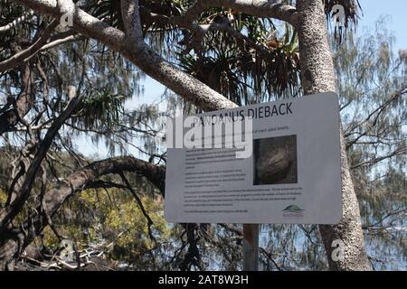 Lun Repos, Queensland, Australie Banque D'Images