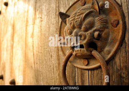 Défonce rouillée de porte, en forme de tête de tigre sur une vieille porte en bois, dérisée. Style chinois médiéval. Banque D'Images