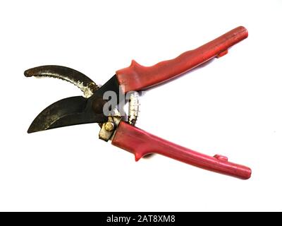 Sécateur sur fond blanc. Ciseaux de jardin. Banque D'Images