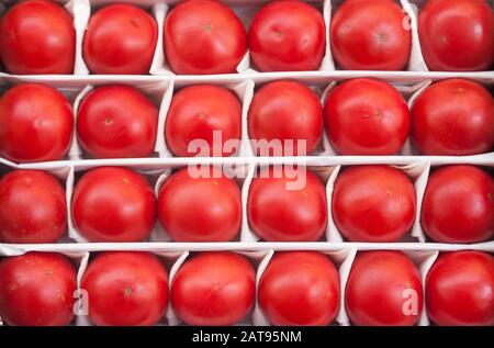 tomates rouges mûres biologiques empilées dans une rangée avec des cellules en papier recyclé Banque D'Images