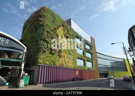 Un «mur vivant» sur la façade du bâtiment Viacom, Hawley Crescent, Camden Lock, Londres. Banque D'Images