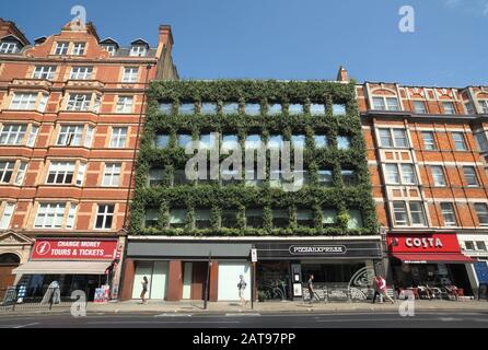 Un « mur vivant » sur Synergy House, Southampton Row, Londres. Banque D'Images