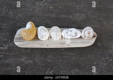 Une collection de petits agates alignés sur un morceau de bois de dérive. Banque D'Images