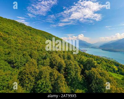 Panorama à grand angle du lac de Côme avec montagnes des Alpes sur l'arrière-plan et Arbres en premier plan. Concept De Carte Postale De Voyage Banque D'Images