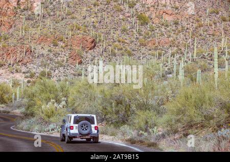 Route trébuchant dans la forêt du parc national de Saguaro et des chemins à proximité dans le désert de l'Arizona Banque D'Images