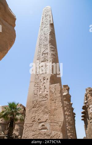 Luxor, Karnak, Egypte, Afrique. Temple de Karnak. Hieroglypnics sur l'obélisque de Hatshepsutof à l'entrée du temple. Banque D'Images