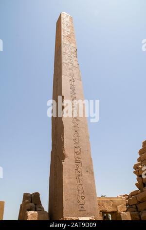 Luxor, Karnak, Egypte, Afrique. Temple de Karnak. Hieroglypnics sur l'obélisque de Hatshepsut à l'entrée du temple. Banque D'Images