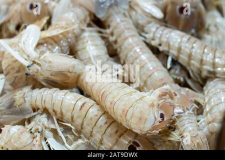Photo des fruits de mer de la cilla mantis sur le banc. Banque D'Images