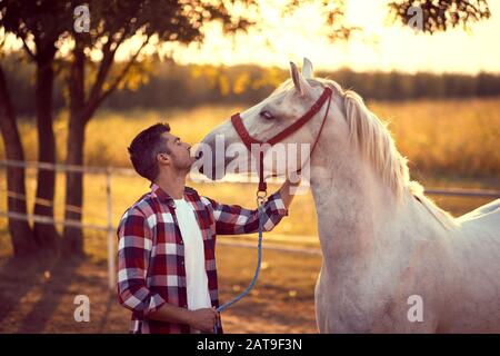 Homme embrassant son cheval sur le ranch, animal aimant. Divertissement sur la campagne, coucher de soleil heure d'or. Concept de la nature de la liberté. Banque D'Images