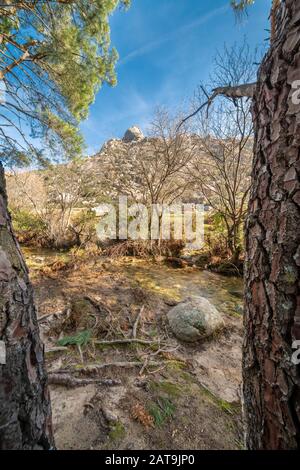 Vue imprenable sur la forêt avec les arbres, la rivière Manzanares et, à distance, les montagnes de granit accidentées de la région de la Pedriza à l'intérieur de la Sierra de Guadarrama Banque D'Images
