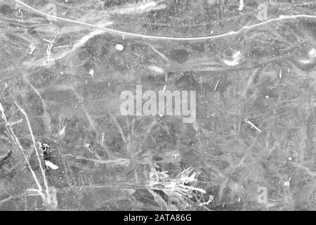 L'année dernière, l'herbe sous la glace transparente de printemps gros plan, vue de dessus. Fond abstrait naturel monochrome Banque D'Images