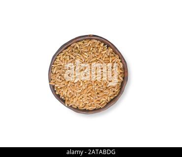 épeautre grain. épeautre. Grain d'épeautre macro isolé sur fond blanc, vue de dessus. Полба. Глютен. Gluten. Sans gluten Banque D'Images