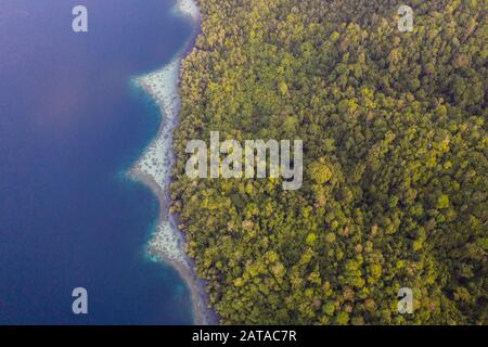 Vu d'en haut, les nombreuses îles tropicales de Raja Ampat, Indonésie, sont entourées de récifs coralliens sains et d'une biodiversité marine élevée. Banque D'Images