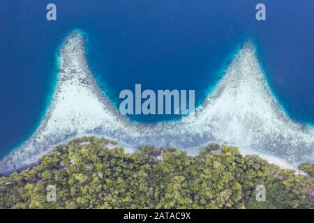 Vu d'en haut, les nombreuses îles tropicales de Raja Ampat, Indonésie, sont entourées de récifs coralliens sains et d'une biodiversité marine élevée. Banque D'Images