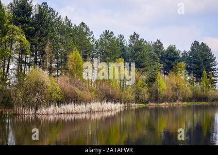 Paysage Du Parc Naturel De Tevener Heide Avec Lac, Saison De Printemps , Allemagne, Rhénanie-Du-Nord-Westphalie Banque D'Images