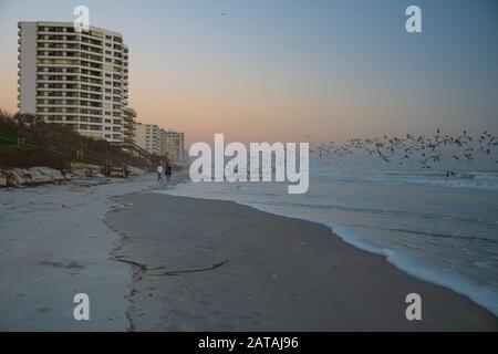 Daytona Beach, Fl/USA-Jan 1, 2020: Deux femmes photographie des mouettes qui prennent pour voler d'une plage au lever du soleil. Banque D'Images