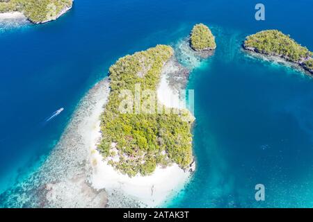 Vu d'en haut, les nombreuses îles tropicales de Raja Ampat, Indonésie, sont entourées de récifs coralliens sains et d'une biodiversité marine élevée. Banque D'Images