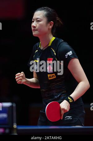 Magdeburg, Allemagne. 01 février 2020. Tennis de table: Allemand ouvert, femmes, célibataires, quart de finale, Ito (Japon) - Ding (Chine). Gestes Ding Ning. Crédit: Swen Pförtner/Dpa/Alay Live News Banque D'Images