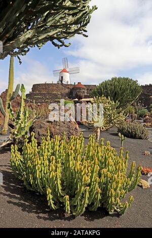 Le jardin de Cactus de Cesar Manrique, site De La Réserve de biosphère de l'UNESCO, Guatiza, Lanzarote Banque D'Images