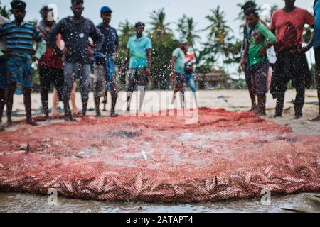 Un groupe de pêcheurs Sri-lankais qui recueillent des poissons des filets sur la plage tropicale de Trincomalee. Banque D'Images