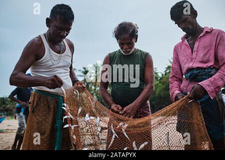 Un groupe de pêcheurs Sri-lankais qui recueillent des poissons des filets sur la plage tropicale de Trincomalee. Banque D'Images