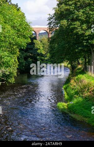 Pêcheur de mouche dans la rivière Nairn dans les Highlands écossais d'Inverness-shire Ecosse Royaume-Uni Banque D'Images